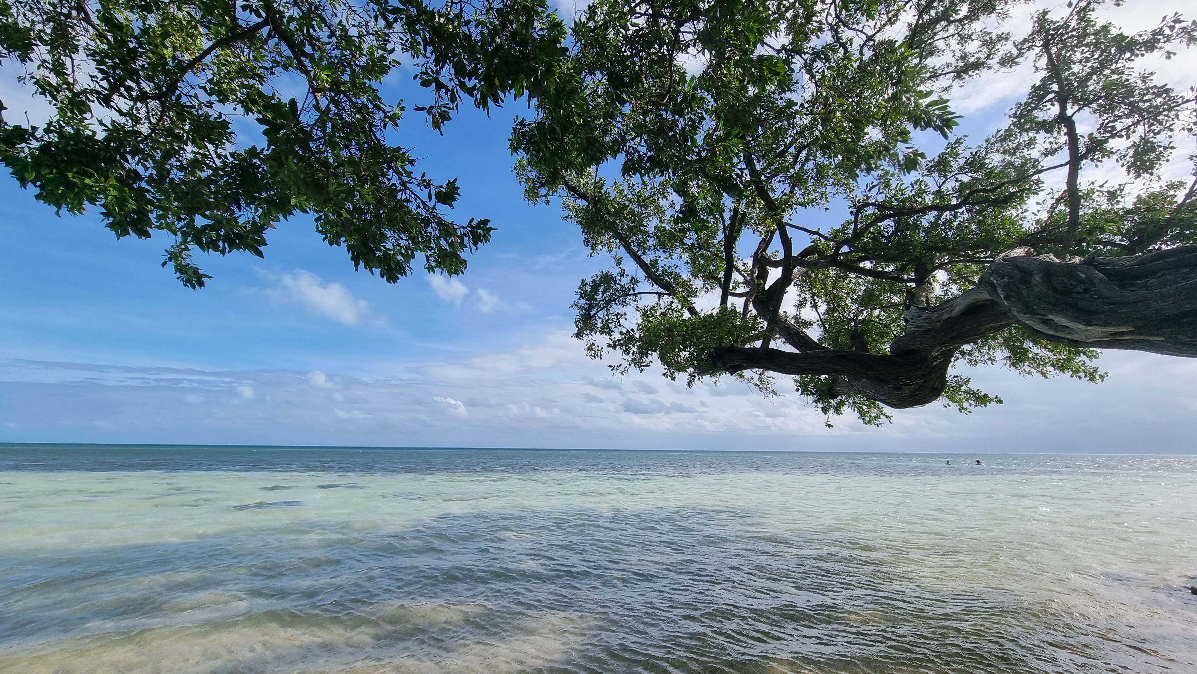 Miami, United States